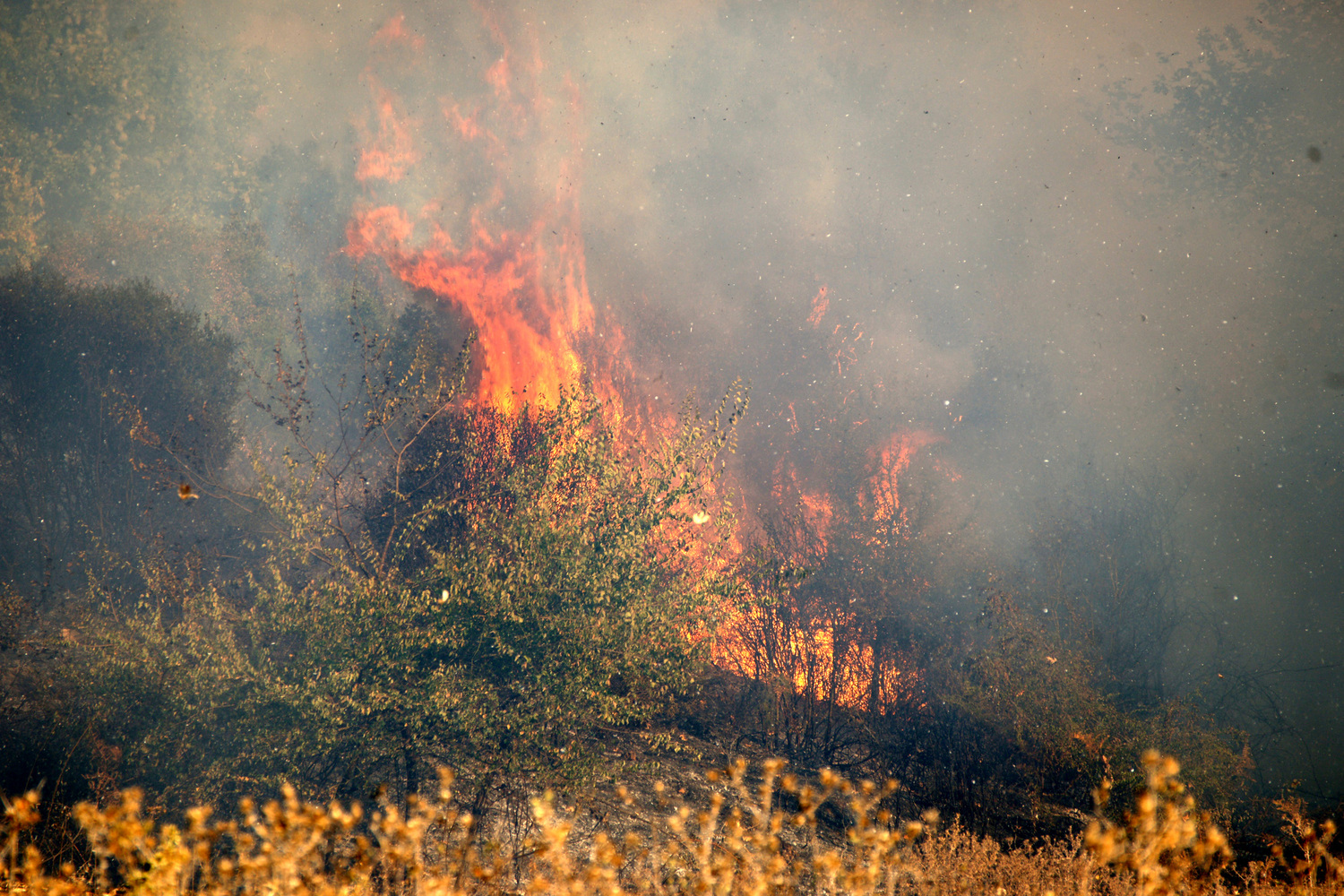 Φωτιά στη Λακωνία: Καίγεται δασική έκταση στην περιοχή Μύτικας