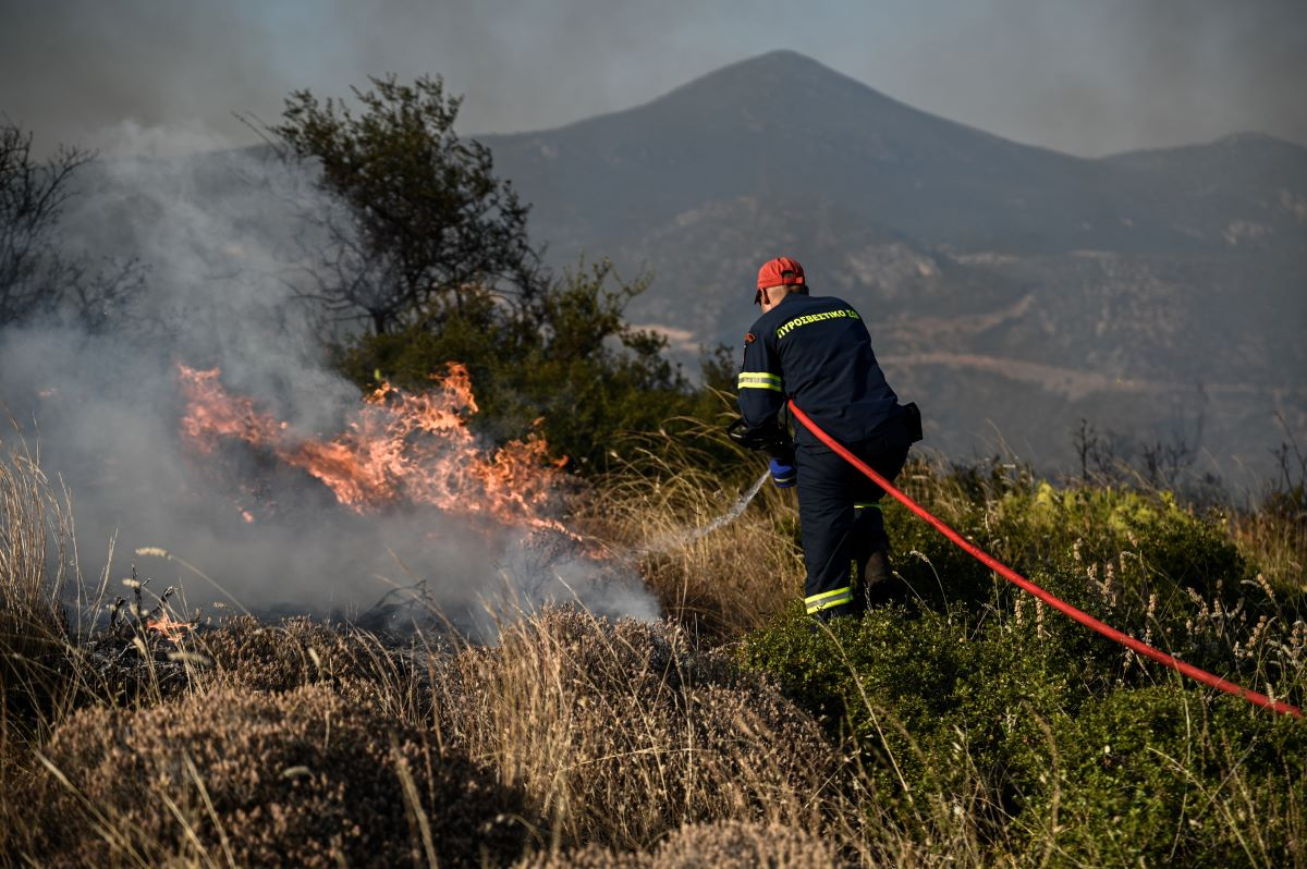 Πάτρα: Φωτιά σε αγροτοδασική έκταση – Εκκενώθηκαν δύο σχολεία
