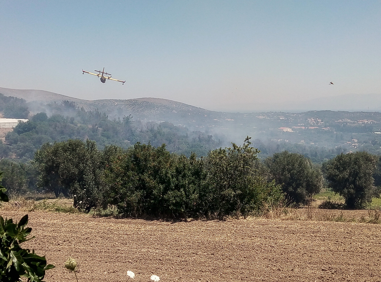 Χίος: Χωρίς ενεργό μέτωπο η δασική πυρκαγιά στο νησί