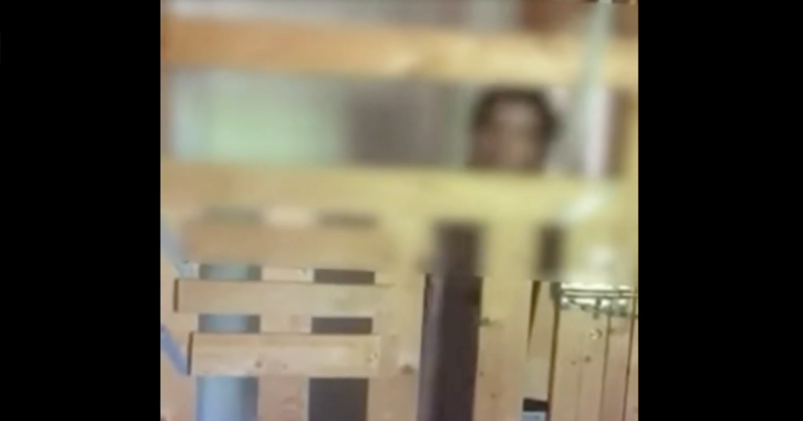 «Κωσταλέξι» στην Καλαμάτα: 29χρονη κρατούνταν κλεισμένη σε κλουβί για επτά χρόνια