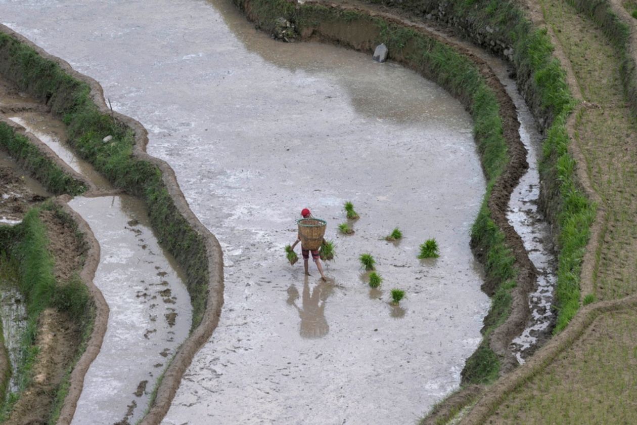 Νεπάλ: Πάνω από 20 νεκροί μετά από σφοδρές βροχοπτώσεις