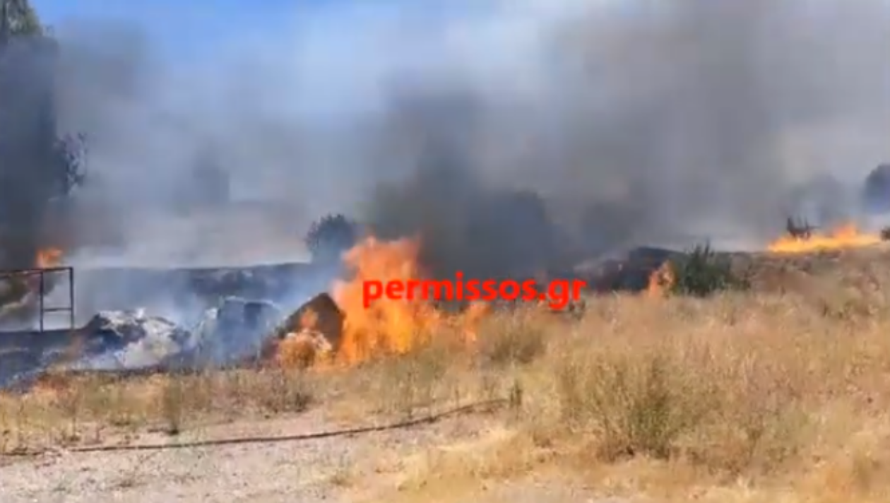 Φωτιά στη Θήβα: Κοντά στο Γενικό Νοσοκομείο οι φλόγες