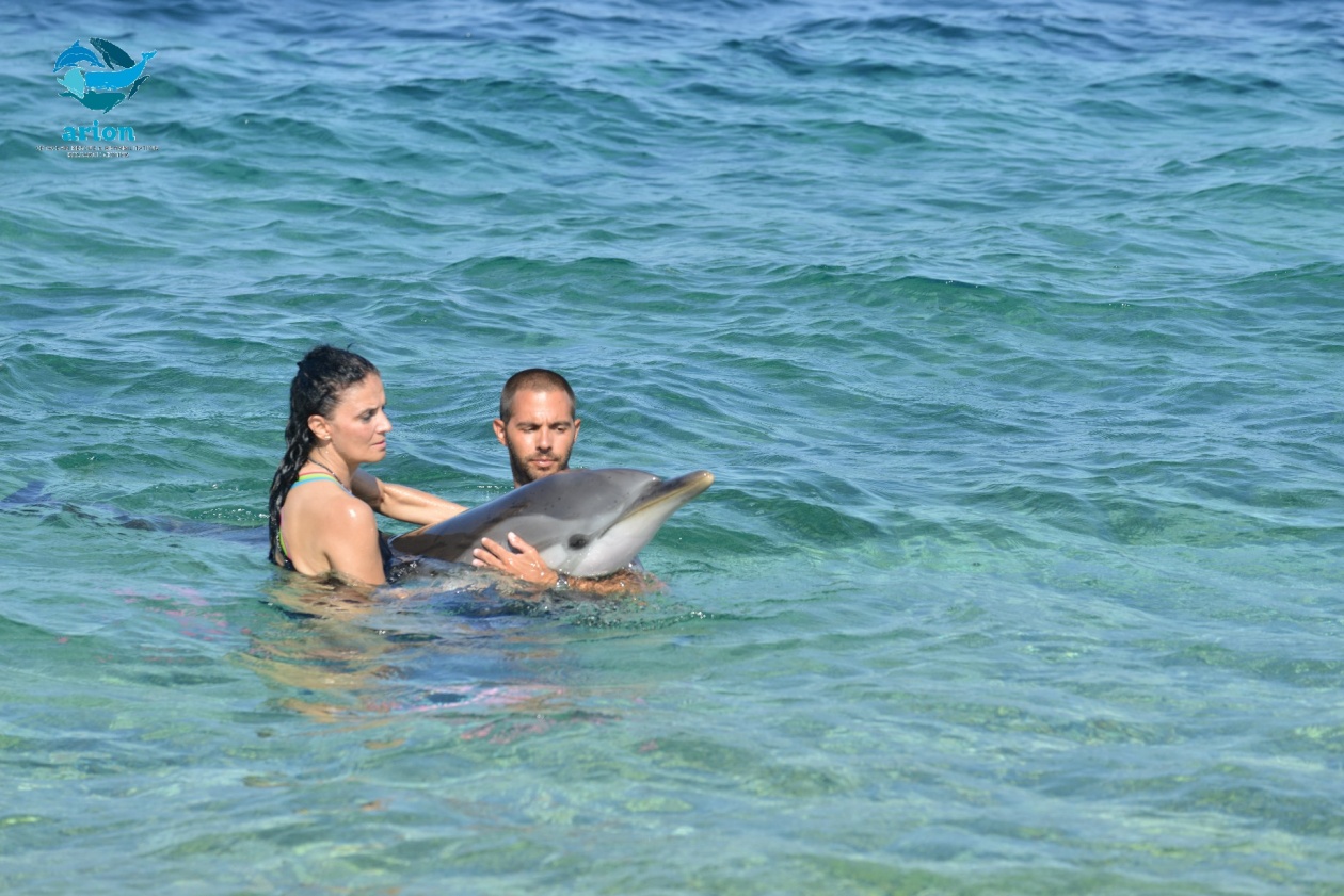 Καβάλα: Δεν τα κατάφερε τελικά το δελφίνι που έκανε «βόλτες» στα ρηχά