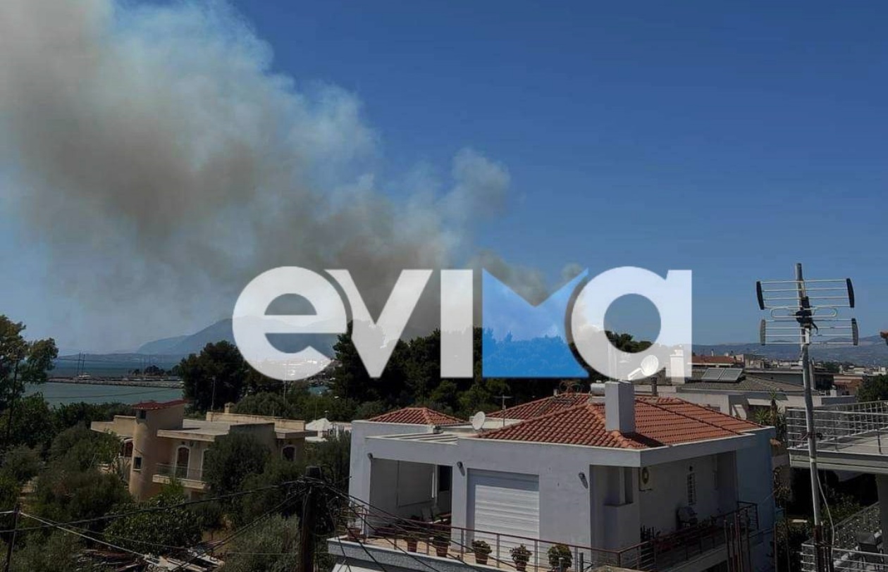 Μεγάλη φωτιά στην Εύβοια: 112 για Νέα Αρτάκη – Εκκενώνεται οικισμός
