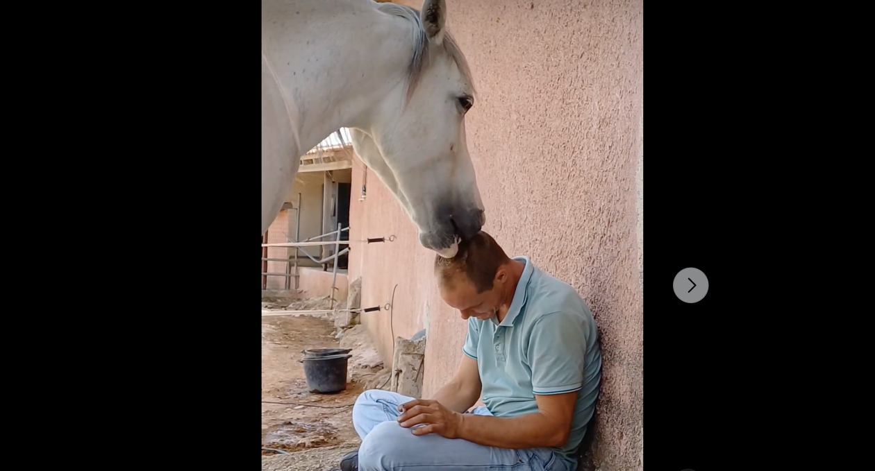 Συγκινητικό βίντεο: Άλογο δείχνει την αγάπη και την ευγνωμοσύνη του στον φροντιστή του